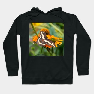 Brown and Cream Swallowtail Butterfly on Orange Coneflower Hoodie